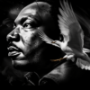 dr martin luther king jr with dove